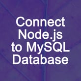 Connect Nodejs to MySQL Database